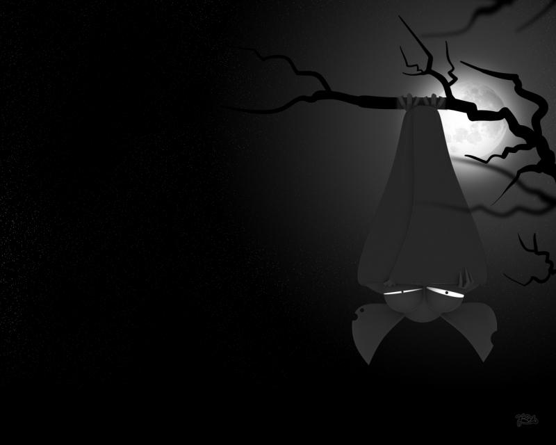 funny 3d wallpapers (2)